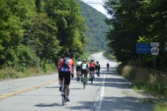 20293090_1605597496170789_7364587372533847163_n