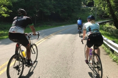 37104536_1978983532165515_3892520712811839488_o